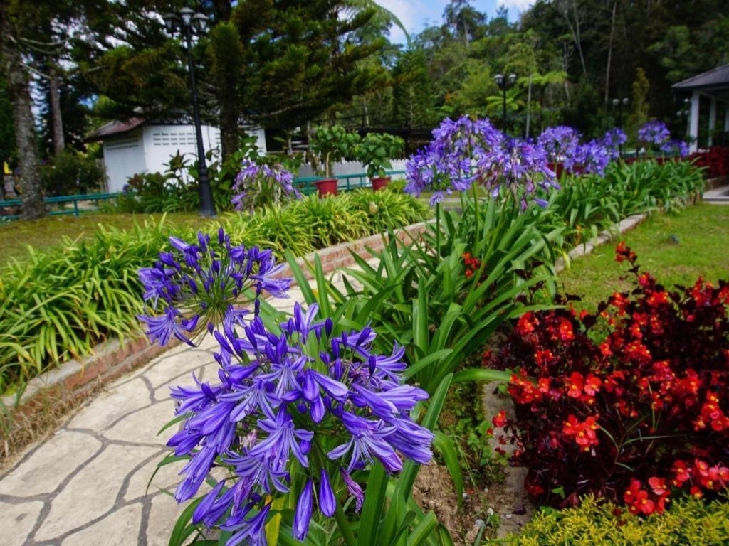 Oyo 90722 D'Puncak Hotel Cameron Highlands Exterior foto